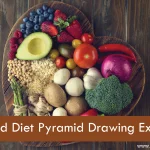 Balanced Diet Pyramid Drawing Explained